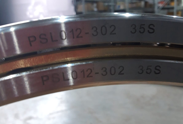 PSL012-302 Bearing Double Outer ring ball bearing Manufacturer